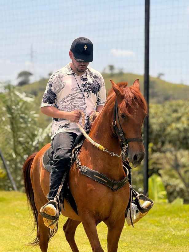 Caballo de paso fino con jinete