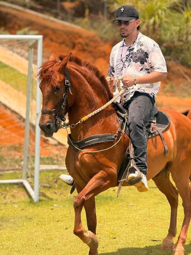 Caballo fino en porte con jinete usando la gorra Tres Coronas